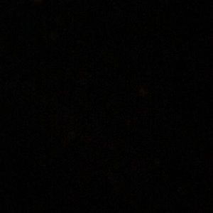 Meet your Posher, Daisy